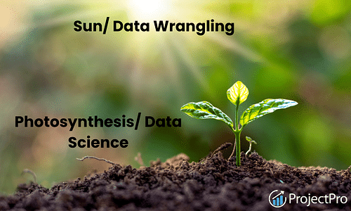 Mastering the Art of Data Wrangling: A Comprehensive Guide