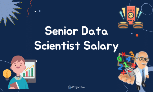 Senior Data Scientist Salary : How Much Will You Make in 2023?