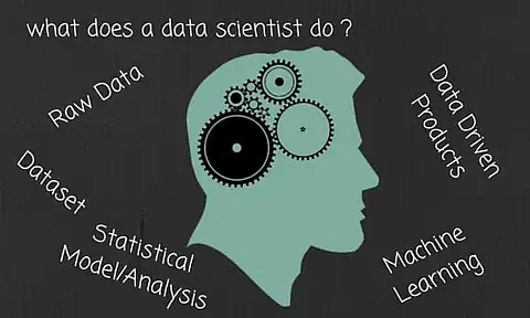 What Is a Data Scientist and What Do They Do? - Forage